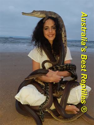 the snake charmer for a reptile party
